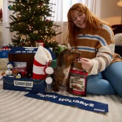Goody Box Holiday Dog Toys & Treats -Pet Toys Shop 767910 PT2. AC SS1800 V1696258571
