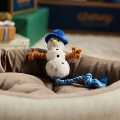 Goody Box Holiday Dog Toys & Treats -Pet Toys Shop 767910 PT6. AC SS1800 V1696258574