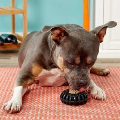 Starmark Everlasting Treat Wheeler Tough Dog Chew Toy -Pet Toys Shop 78183 PT2. AC SS1800 V1589319685