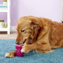 Starmark Everlasting Groovy Ball Tough Dog Chew Toy -Pet Toys Shop 78199 PT2. AC SS1800 V1589320274