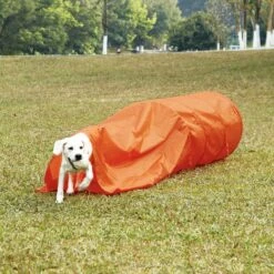 Outward Hound Zip & Zoom Closed Tunnel Chute Attachment With Metal Stakes Dog Agility Kit, Orange -Pet Toys Shop 786494 PT4. AC SS1800 V1682620881
