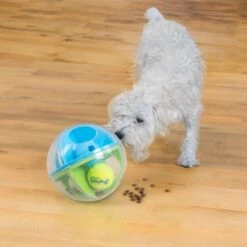 Outward Hound A-Maze Ball Puzzle & Treat Maze Interactive Dog Toy, Green -Pet Toys Shop 786510 PT6. AC SS1800 V1682628695