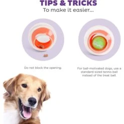 Outward Hound Dog Rumble Puzzle Ball Puzzle & Treat Maze Interactive Dog Toy, Orange -Pet Toys Shop 786558 PT3. AC SS1800 V1694286712