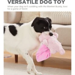 Outward Hound Blanket Buddies Pink Lamb Small Blacket Treat & Squeaky Dog Toy, Pink -Pet Toys Shop 786750 PT4. AC SS1800 V1682620841