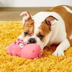 Multipet Latex Hippo Squeaky Dog Toy, Color Varies -Pet Toys Shop 78732 PT8. AC SS1800 V1506976486