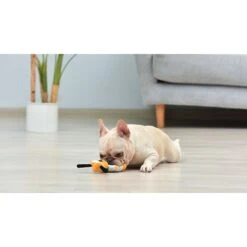 Fetch For Pets Mickey & Friends Halloween Pluto Dog Plush Toy, 6-in -Pet Toys Shop 789390 PT3. AC SS1800 V1690293690