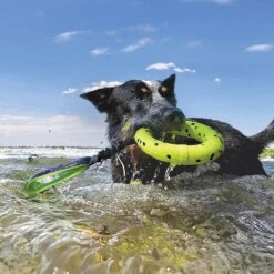 KONG Reflex Tug Dog Toy, Yellow, Medium -Pet Toys Shop 797606 PT7. AC SS1800 V1680188293