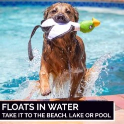 Hyper Pet Flying Series Dog Toy -Pet Toys Shop 80093 PT3. AC SS1800 V1605657406