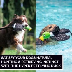 Hyper Pet Flying Series Dog Toy -Pet Toys Shop 80093 PT5. AC SS1800 V1605662506