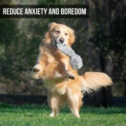 Hyper Pet Doggie Tail Interactive Dog Toy -Pet Toys Shop 80151 Pt3. AC SS1800 V1583767075