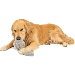 Hyper Pet Doggie Tail Interactive Dog Toy -Pet Toys Shop 80151 Pt5. AC SS1800 V1583768575