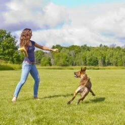 Hyper Pet Hyper Squawkers Dog Chew Toy -Pet Toys Shop 80238 PT2. AC SS1800 V1489184814