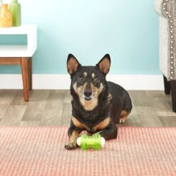 Hyper Pet Hyper Squawkers Dog Chew Toy -Pet Toys Shop 80238 PT4. AC SS1800 V1531516025