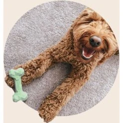 Mount Ara Superbite Dog Toy, 2 Count 9 Mount Ara Superbite Dog Toy, 2 Count -Pet Toys Shop 802526 PT3. AC SS1800 V1678799080