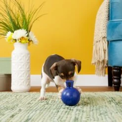 Jolly Pets Tug-n-Toss Mini Dog Toy, Blue -Pet Toys Shop 80412 PT2. AC SS1800 V1530912866