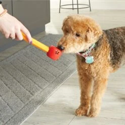 Brightkins Pooch School! Training Set Dog Toys -Pet Toys Shop 805342 PT3. AC SS1800 V1682450379