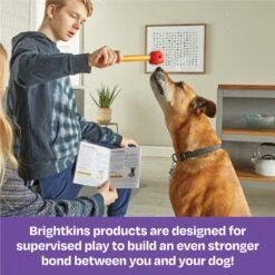 Brightkins Pooch School! Training Set Dog Toys -Pet Toys Shop 805342 PT5. AC SS1800 V1682450384