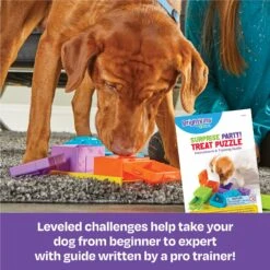 Brightkins Surprise Party! Puzzle Treat Dog Toy -Pet Toys Shop 805390 PT2. AC SS1800 V1679069715
