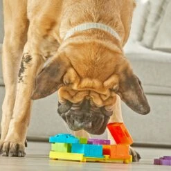 Brightkins Surprise Party! Puzzle Treat Dog Toy -Pet Toys Shop 805390 PT3. AC SS1800 V1682450532