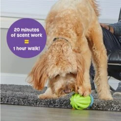 Brightkins Cactus Surprise! Treat Dispensing Dog Toy -Pet Toys Shop 805422 PT3. AC SS1800 V1682450547