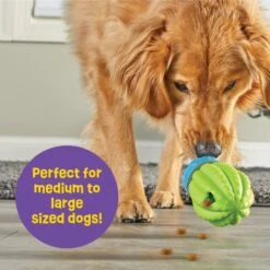 Brightkins Cactus Surprise! Treat Dispensing Dog Toy -Pet Toys Shop 805422 PT4. AC SS1800 V1682450356