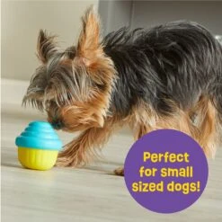 Brightkins Small Cupcake Treat Dispenser Dog Toy -Pet Toys Shop 805438 PT3. AC SS1800 V1682450416