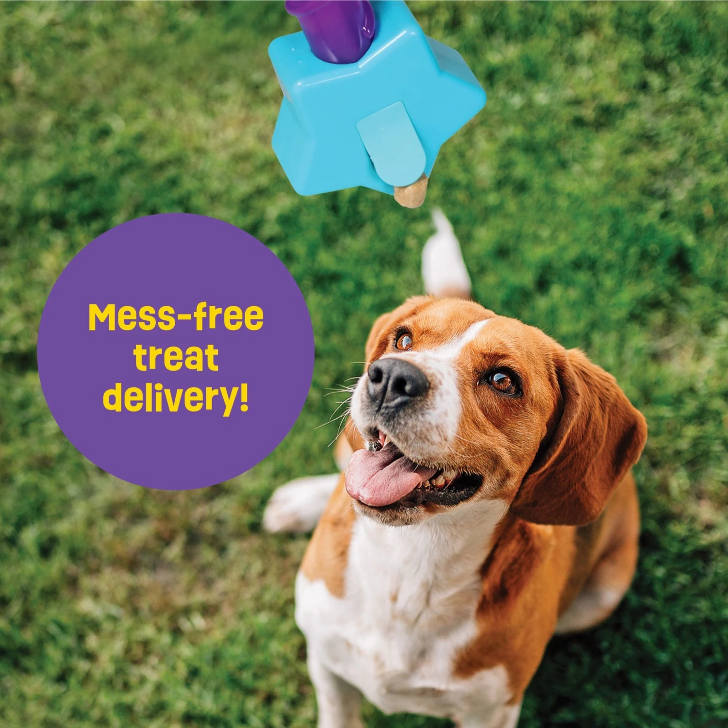 Brightkins Magic Wand! Star Treat Dispensing Dog Tpy 4 Brightkins Magic Wand! Star Treat Dispensing Dog Tpy - Image 4