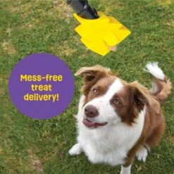 Brightkins Magic Wand! Bolt Treat Dispensing Dog Toy -Pet Toys Shop 805470 PT3. AC SS1800 V1682450563