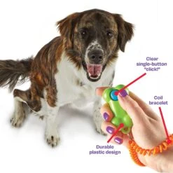 Brightkins Smarty Pooch Bone Dog Training Clicker 9 Brightkins Smarty Pooch Bone Dog Training Clicker -Pet Toys Shop 805486 PT3. AC SS1800 V1682450551