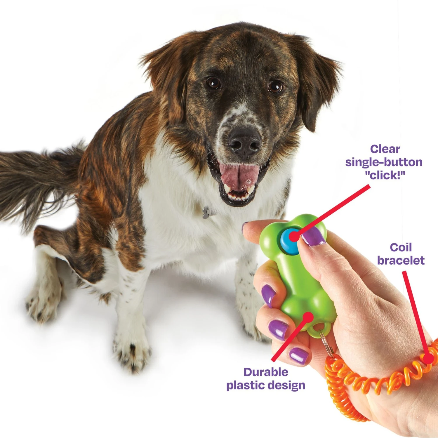 Brightkins Smarty Pooch Bone Dog Training Clicker 4 Brightkins Smarty Pooch Bone Dog Training Clicker - Image 4