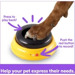 Hunger For Words Talking Pet Next Words: Names Dog Toy -Pet Toys Shop 805566 PT4. AC SS1800 V1682450408