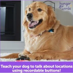 Hunger For Words Talking Pet Next Words: Locations Dog Toy -Pet Toys Shop 805582 PT5. AC SS1800 V1682450486