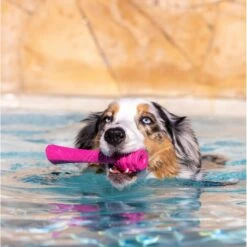 Project Hive Pet Company Hive Wild Berry Scented Fetch Stick Dog Toy, Pink 9 Project Hive Pet Company Hive Wild Berry Scented Fetch Stick Dog Toy, Pink -Pet Toys Shop 805934 PT3. AC SS1800 V1683560556