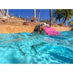 Project Hive Pet Company Hive Wild Berry Scented Disc & Lick Mat Dog Toy, Pink 13 Project Hive Pet Company Hive Wild Berry Scented Disc & Lick Mat Dog Toy, Pink -Pet Toys Shop 805950 PT6. AC SS1800 V1683566323