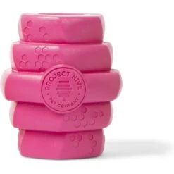 Project Hive Pet Company Hive Wild Berry Aroma Scented Chew Dog Toy, Large, Pink