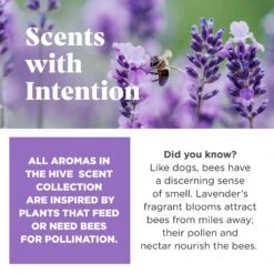 Project Hive Pet Company Hive Calming Lavender Scented Disc & Lick Mat Dog Toy, Purple 8 Project Hive Pet Company Hive Calming Lavender Scented Disc & Lick Mat Dog Toy, Purple -Pet Toys Shop 805998 PT4. AC SS1800 V1683567302