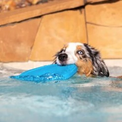 Project Hive Pet Company Hive Soothing Vanilla Scented Disc & Lick Mat Dog Toy, Blue 10 Project Hive Pet Company Hive Soothing Vanilla Scented Disc & Lick Mat Dog Toy, Blue -Pet Toys Shop 806046 PT5. AC SS1800 V1683560609