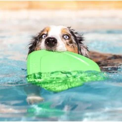 Project Hive Pet Company Hive Tropical Coconut Scented Disc & Lick Mat Dog Toy, Green 9 Project Hive Pet Company Hive Tropical Coconut Scented Disc & Lick Mat Dog Toy, Green -Pet Toys Shop 806142 PT4. AC SS1800 V1683565308