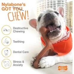 Nylabone Power Chew Peanut Butter Flavored Dog Chew Toy -Pet Toys Shop 80694 PT3. AC SS1800 V1674661429
