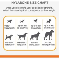 Nylabone Power Chew Peanut Butter Flavored Dog Chew Toy -Pet Toys Shop 80694 PT5. AC SS1800 V1674832669