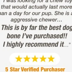 Nylabone Power Chew Peanut Butter Flavored Dog Chew Toy -Pet Toys Shop 80694 PT7. AC SS1800 V1674852382