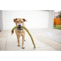 Mammoth SnakeBiter Snake Rope Dog Toy, Color Varies -Pet Toys Shop 83152 PT2. AC SS1800 V1633020404