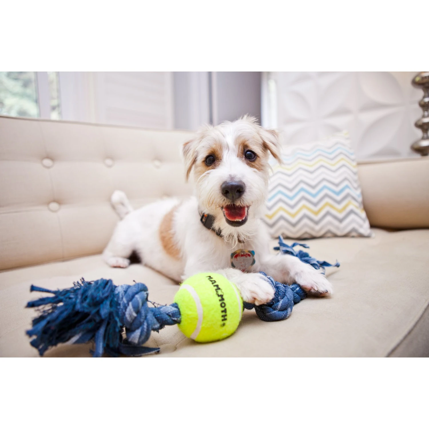 Mammoth Denim 3 Knot Rope Tug With Tennis Ball Dog Toy 2 Mammoth Denim 3 Knot Rope Tug With Tennis Ball Dog Toy - Image 2