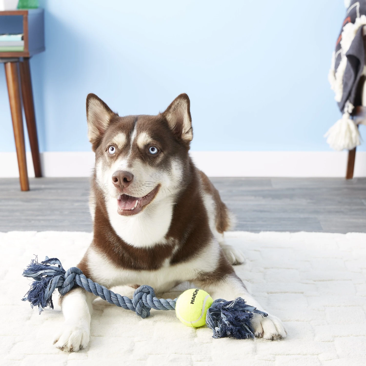 Mammoth Denim 3 Knot Rope Tug With Tennis Ball Dog Toy 3 Mammoth Denim 3 Knot Rope Tug With Tennis Ball Dog Toy - Image 3