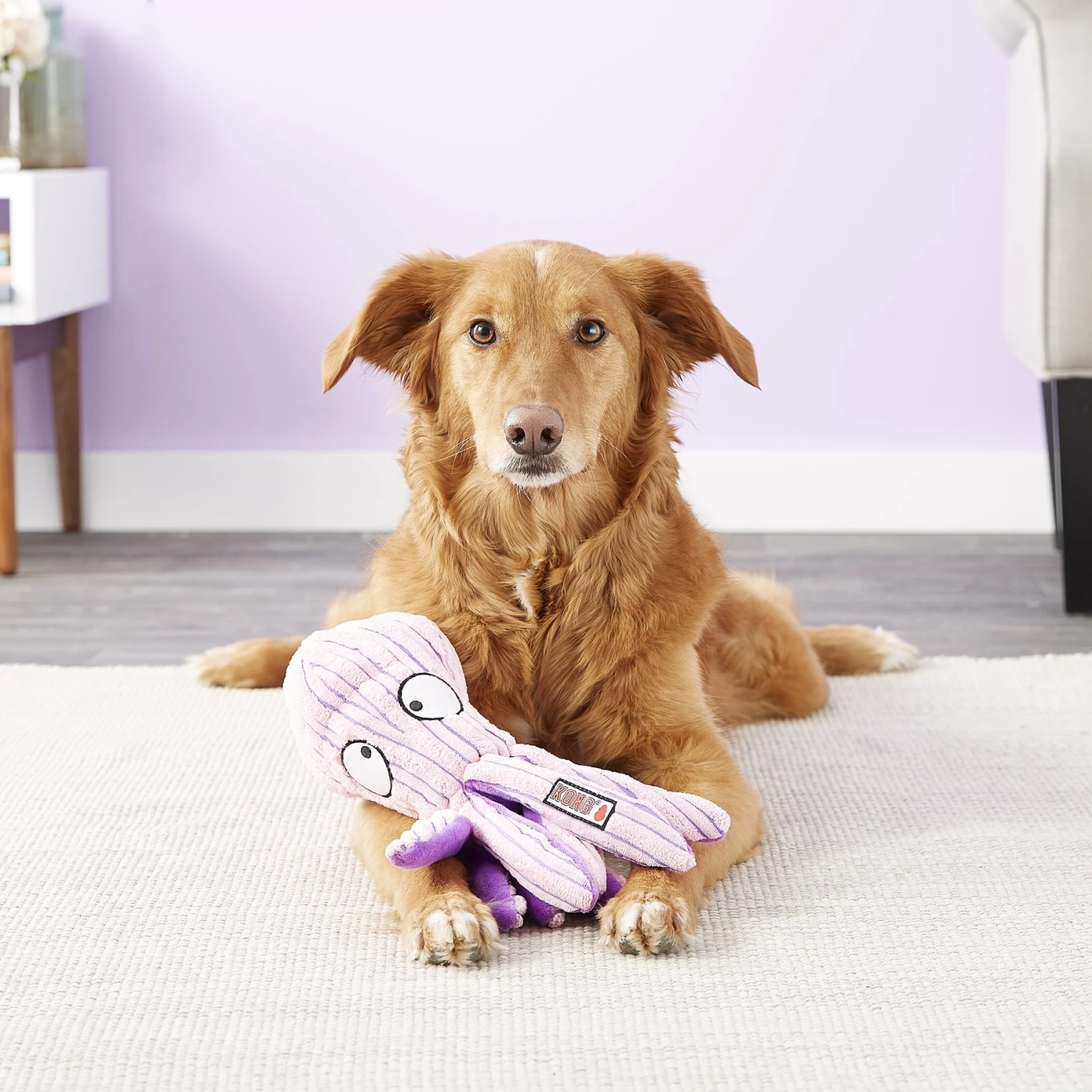 KONG CuteSeas Octopus Dog Toy 3 KONG CuteSeas Octopus Dog Toy - Image 3