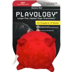 Playology Puppy Sensory Ball Beef Dog Toy