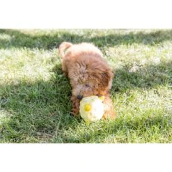 Playology Puppy Sensory Ball Beef Dog Toy -Pet Toys Shop 838934 PT3. AC SS1800 V1683745401