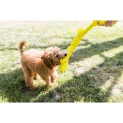 Playology Puppy Sensory Rope Chicken Dog Toy, Yellow, Small -Pet Toys Shop 839014 PT3. AC SS1800 V1683743041