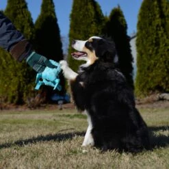 Playology Puppy Sensory Snail Peanut Butter Dog Toy 10 Playology Puppy Sensory Snail Peanut Butter Dog Toy -Pet Toys Shop 839190 PT3. AC SS1800 V1683744802