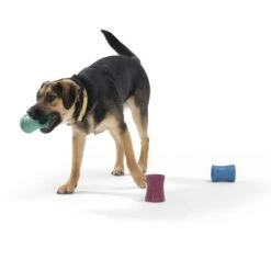 West Paw Funnl Dog Toy, Large, 4.25-in -Pet Toys Shop 847974 PT6. AC SS1800 V1683905951